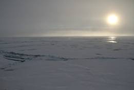 说明: F:\Chinese 5th Arctic Expedition\08-30\IMG_9786.JPG