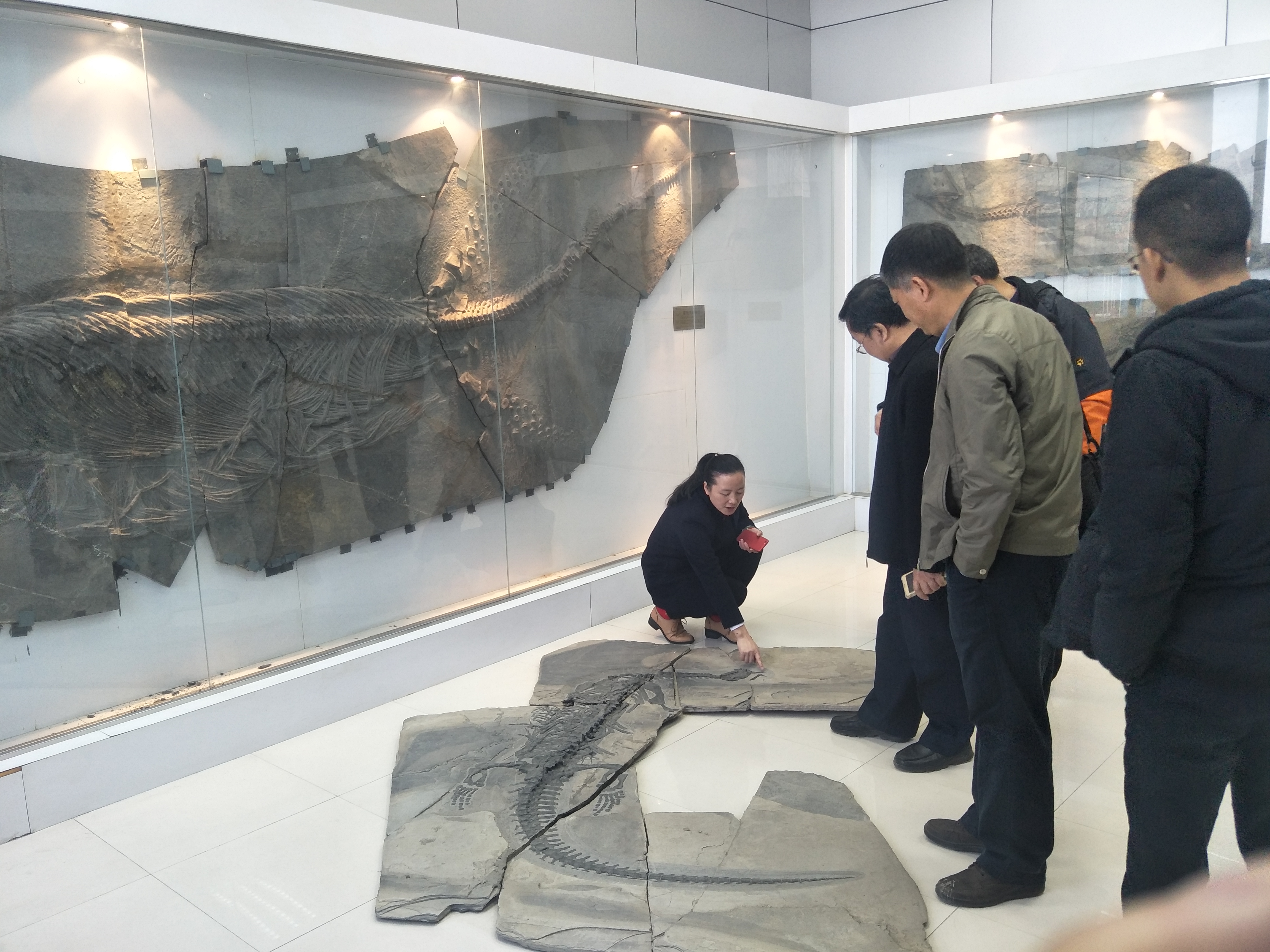 参观龙化石博物馆