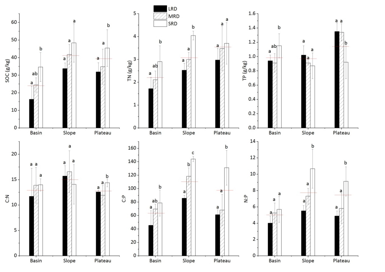 图1 断陷盆地不同地貌部位不同石漠化水平土壤C、N和P化学计量特征