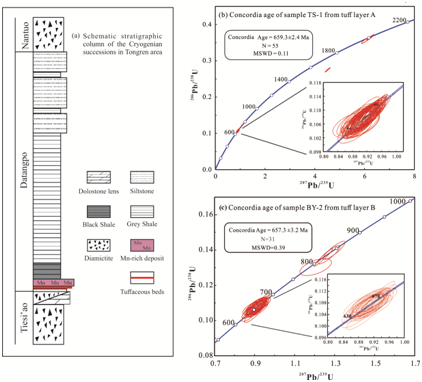 1.华南贵州铜仁大塘坡组底部火山凝灰岩锆石SIMS定年图