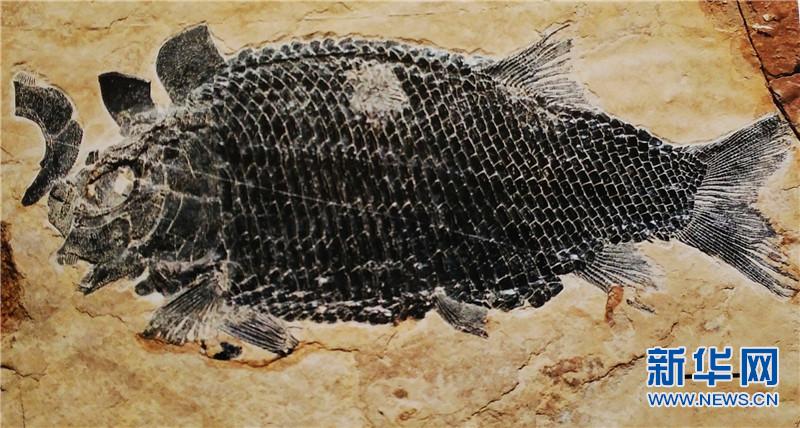 罗平打造生物群国家地质公园 彰显自然生态景观