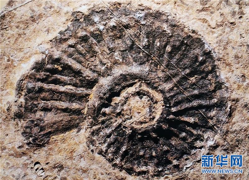 罗平打造生物群国家地质公园 彰显自然生态景观