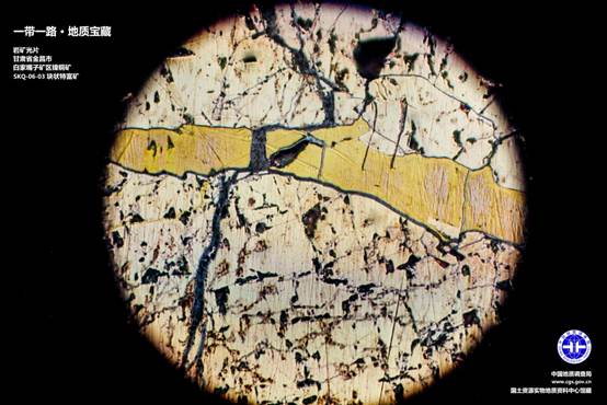 说明: D:\新闻处\矿物薄片\46地球日12\46地球日12\地球日06-skq-06-3.jpg